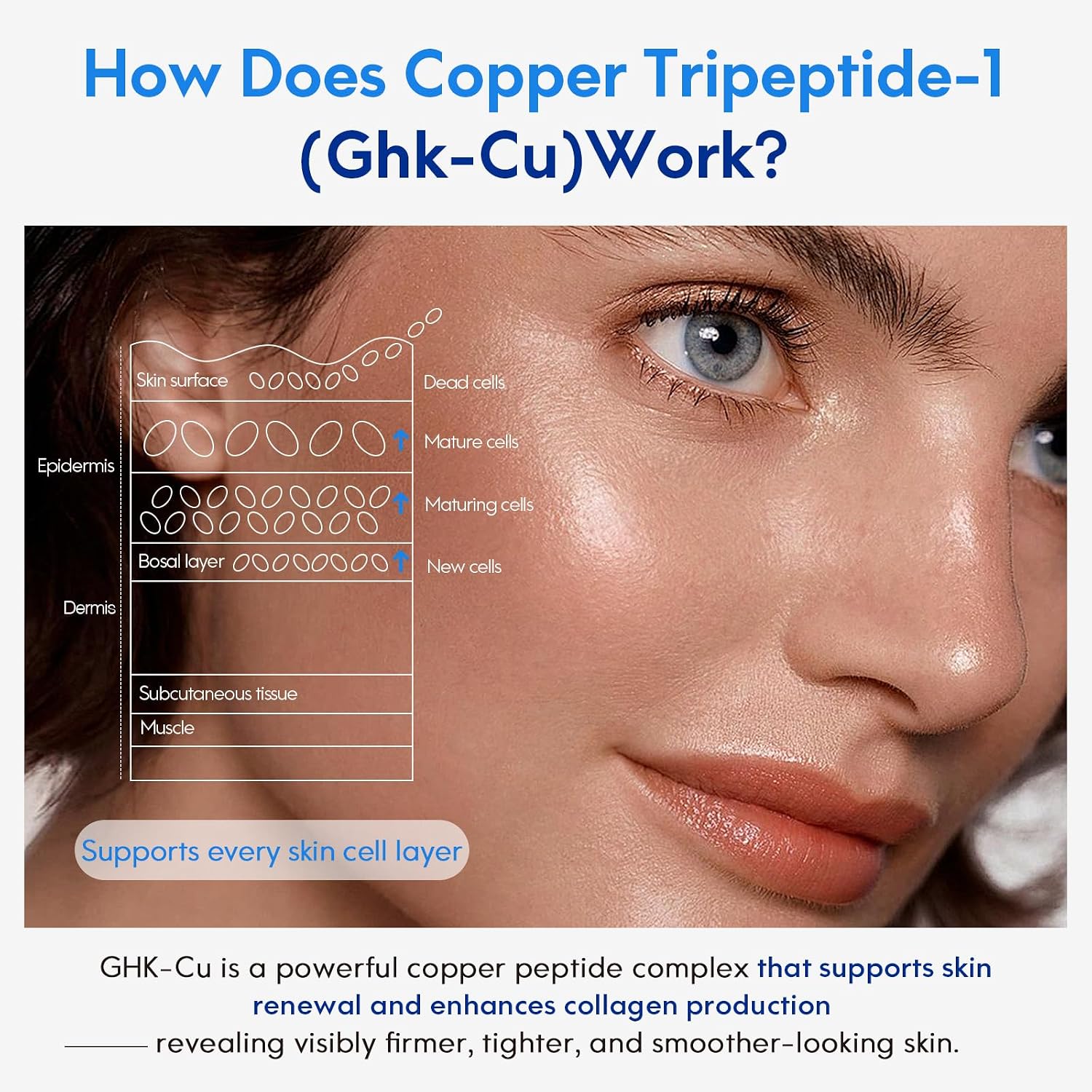 How copper tripeptide-1 GHK-Cu works across the skin cell layers